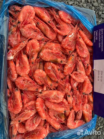 Икра Красная. Креветка Северная