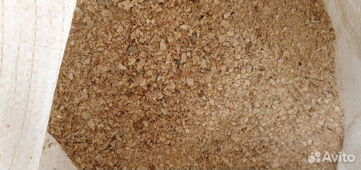 Ракушка кормовая