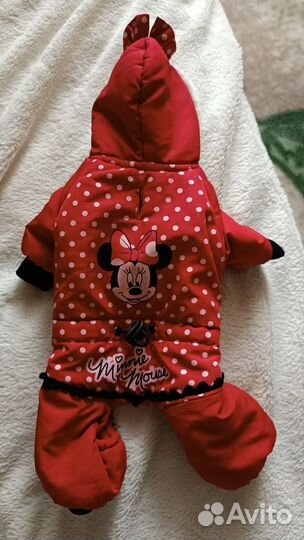 Одежда для маленьких собак