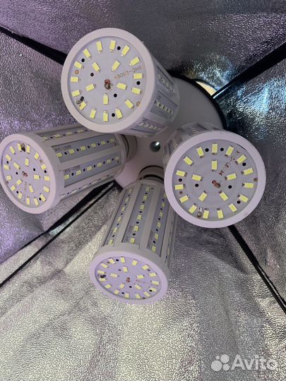 Студийный постоянный свет