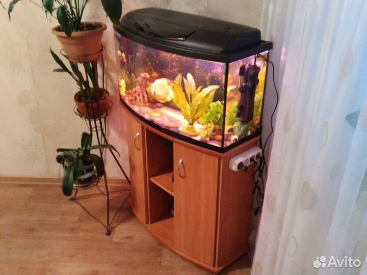Аквариум 110л