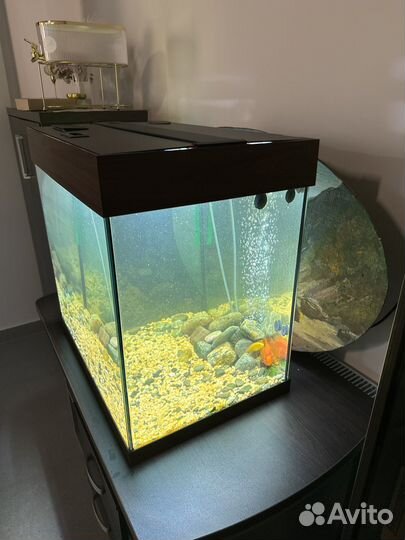 Иаквариум juwel 120 + фильтр eheim experienc