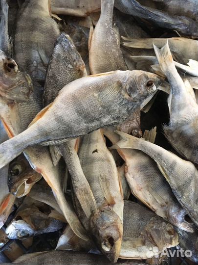 Сушеная Вяленая Рыбка (Тамбовская)