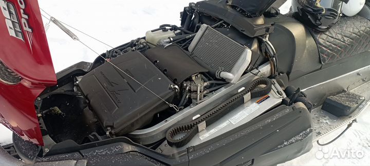 Yamaha Viking professional