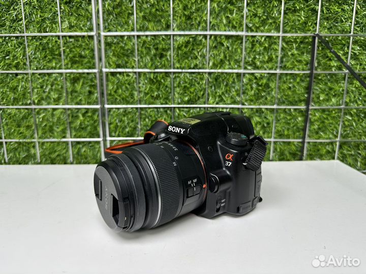 Зеркальный фотоаппарат sony a37