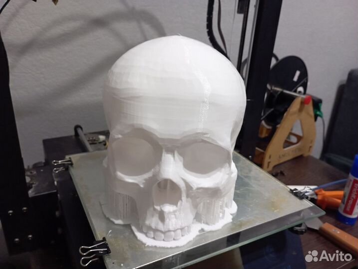 Череп человеческий (без челюсти)