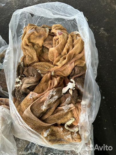 Мясо баранина