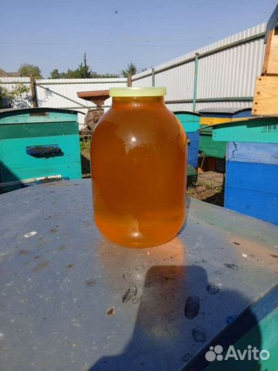 Мед разнотравье