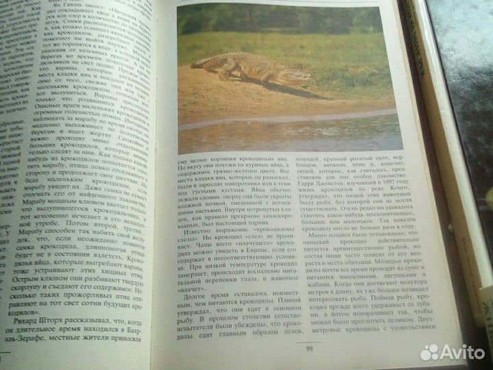 Книги о животных.разные