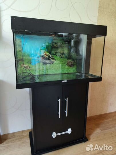 Аквариум Juwel rio 125