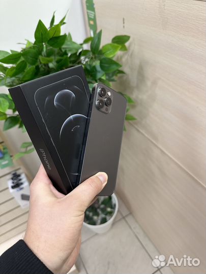 iPhone 12 Pro Max, 256 ГБ