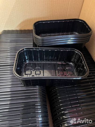 Лотки, агровата и семена: все для микрозелени