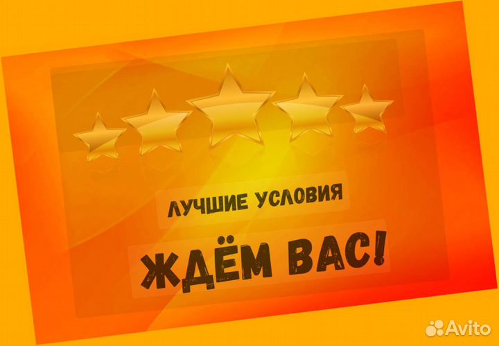 Автоэлектрик вахта Выплаты еженед. Жилье /Еда /Хорошие условия