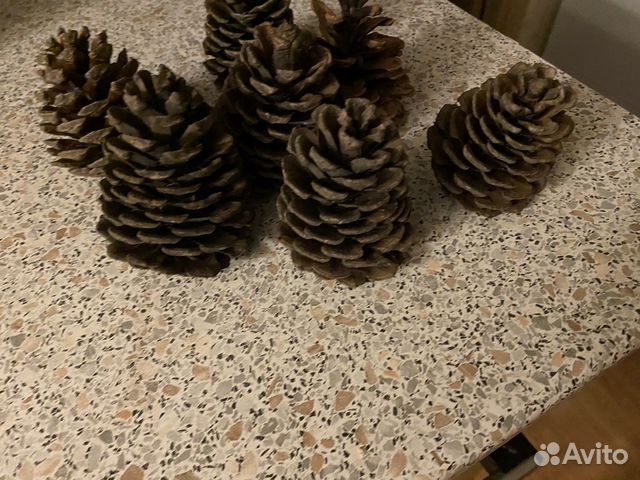 Шишки сосновые