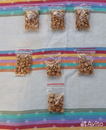 Момордика семена 10шт. 50рублей