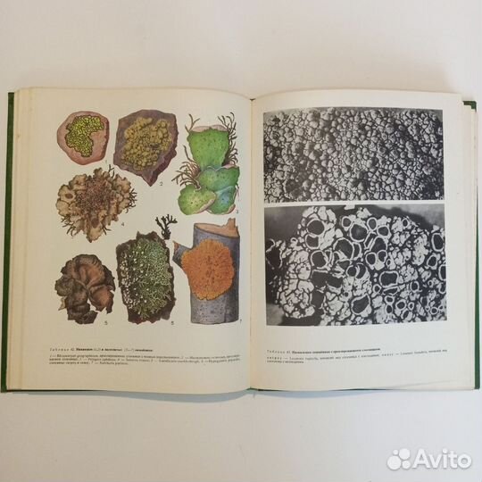 Книга Жизнь растений 3й том 1977г