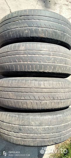 Pirelli Cinturato P1 Verde 185/65 R15