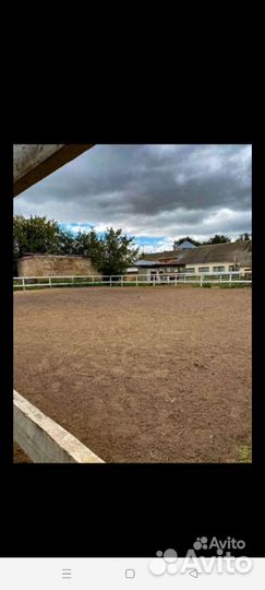 Постой для лошадей