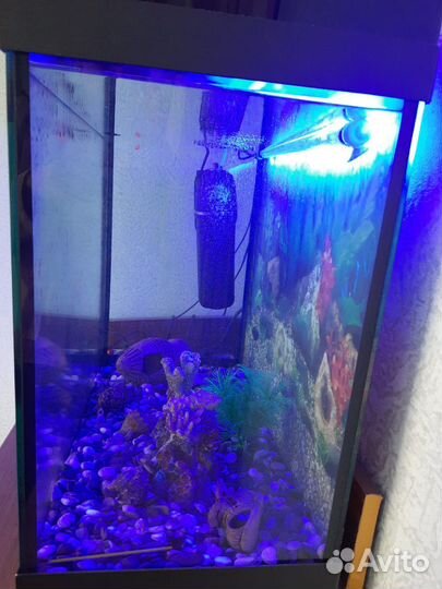 Аквариум 100 литров с аксессуарами
