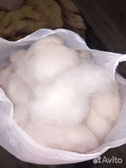 Собачья шерсть