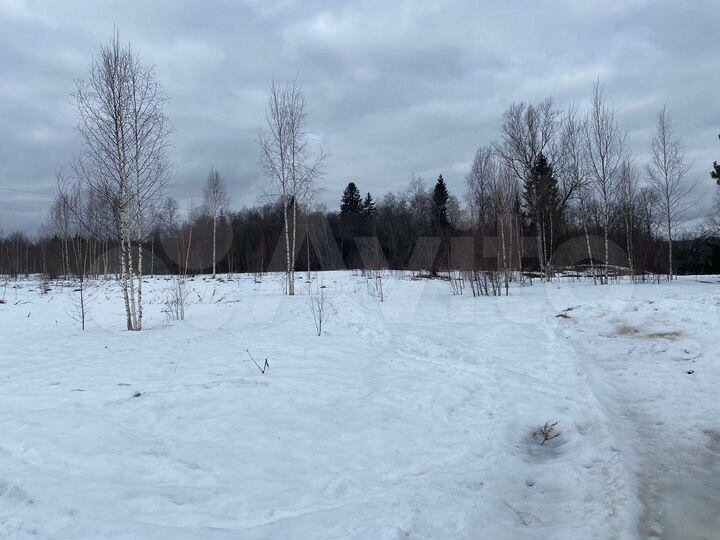 Участок 2 га (ИЖС)