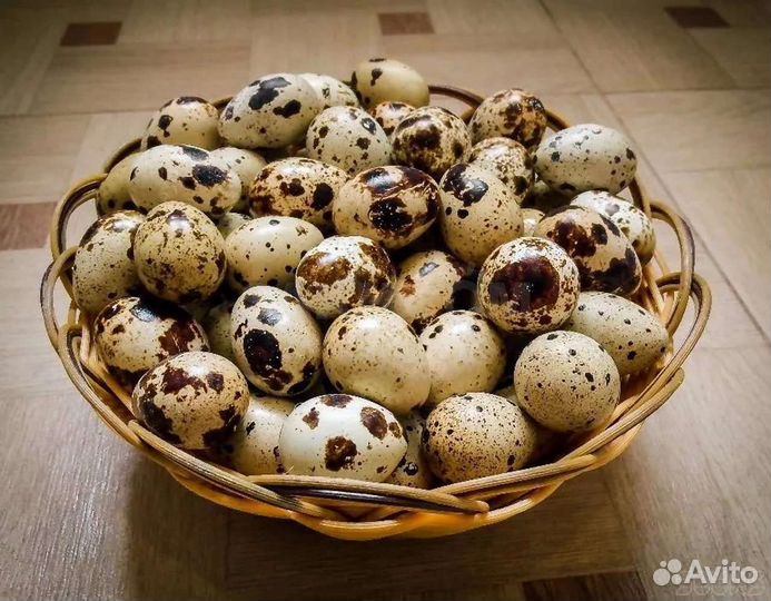 Яйца куриные и перепелиные домашние