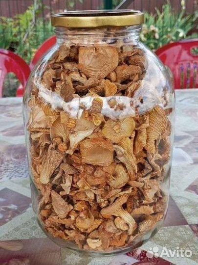 Сушеные грибы лисички