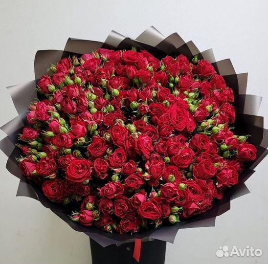 Большой букет красных кустовых роз 51 роза