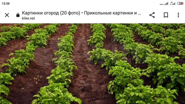 Участок 30 сот. (СНТ, ДНП)
