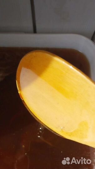 Мед алтайский