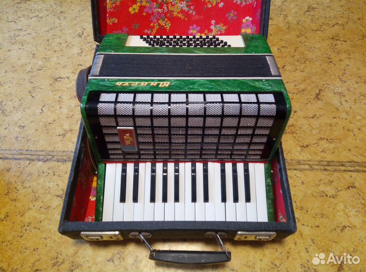 Аккордеон Юность 2