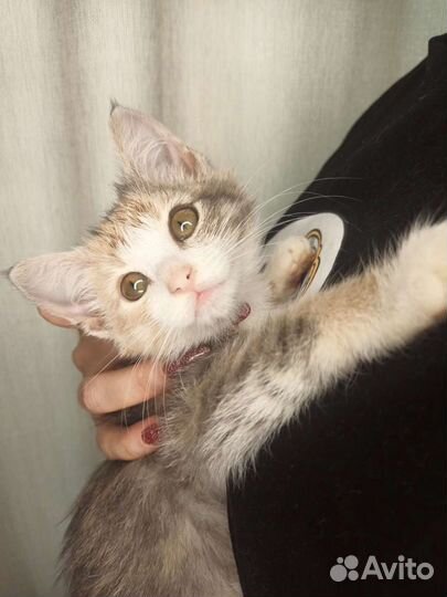 Сладкая Зайка ждёт свою маму и папу