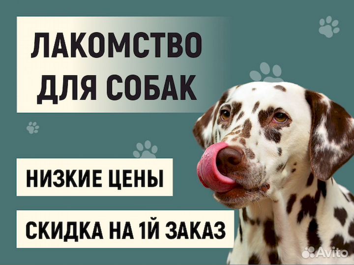 Корм для собак. Прямые производители