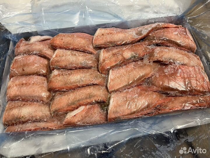 Окунь морской 7 кг