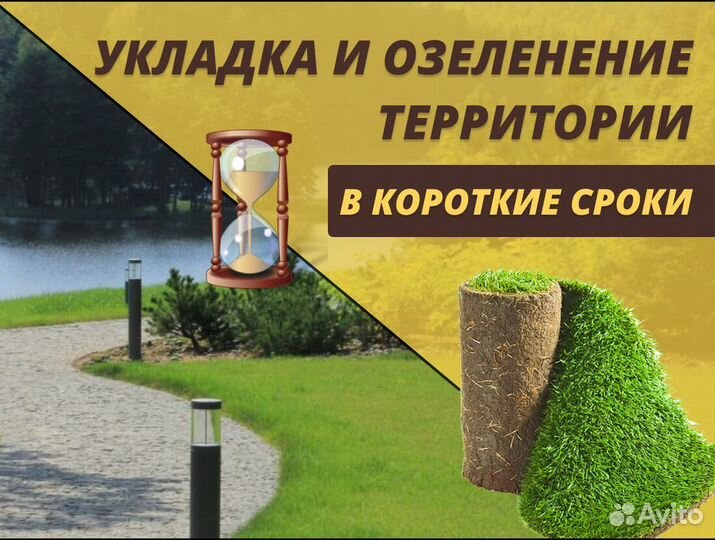 Элитный рулонный газон от производителя