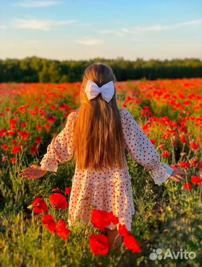 Огромный комплект нарядной одежды