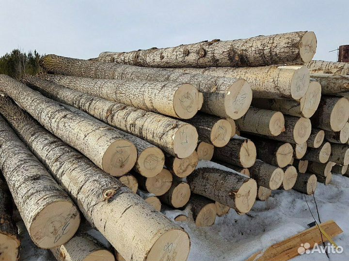 Продам осину