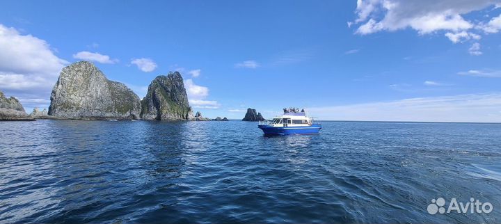 Морские прогулки на катере