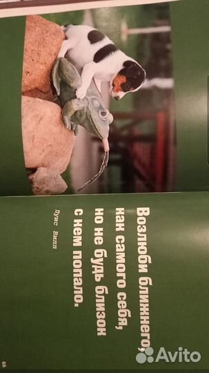 Книга альбом для любителей собак