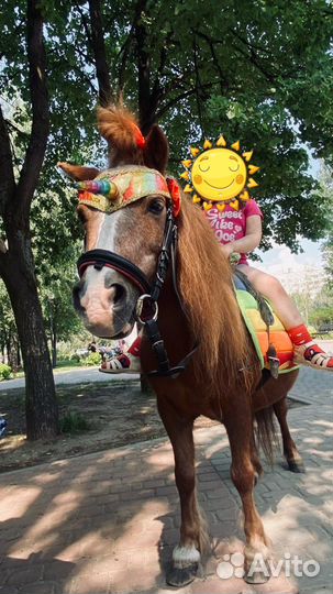 Катание на лошадях,на праздник,фотоссесии