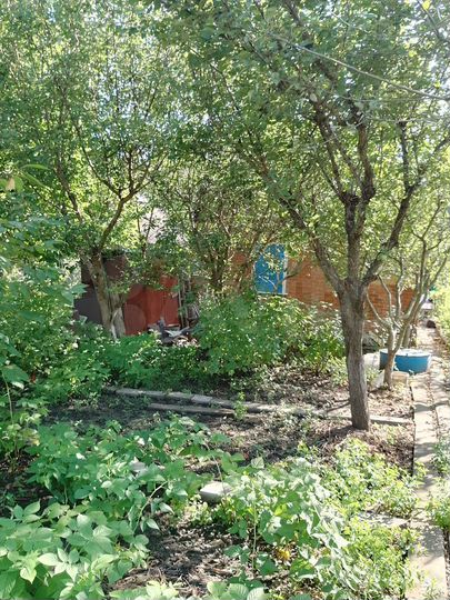 Дача 34,3 м² на участке 4,85 га