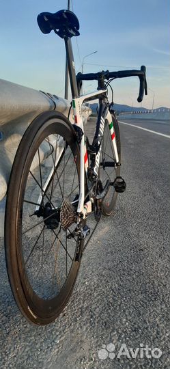 Cipollini NK1K Italian Champion