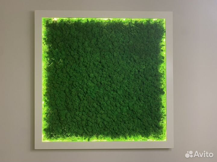 Стабилизированный мох панно