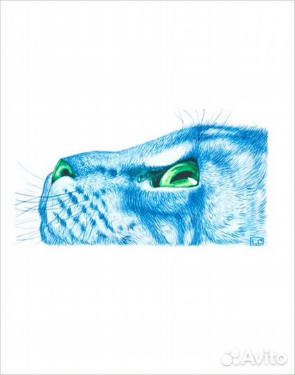 Постеры-коты - стильные работы из Италии