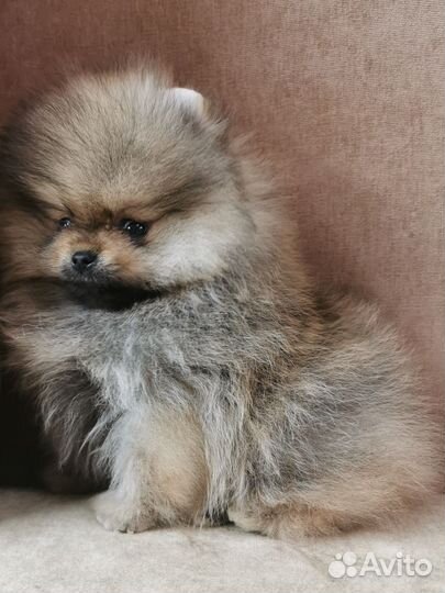 Микро мальчик