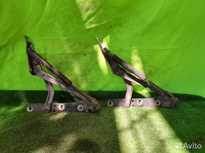 Петли крышки багажника Ford Focus 1