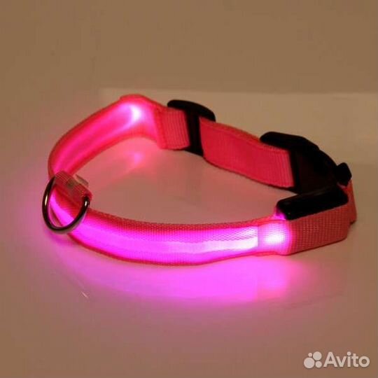 Светящийся ошейник для собак