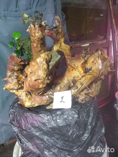 Коряги для аквариума