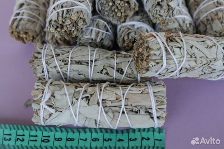 Шалфей Белый от 20шт опт для Озон