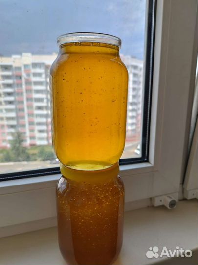 Мед цветочный с рапсом. Бесплатная доставка